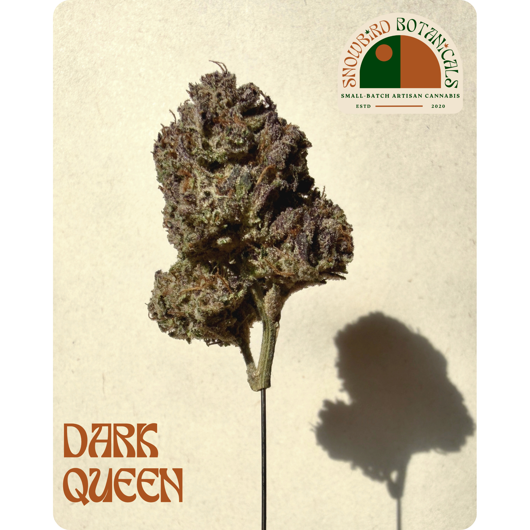 Dark Queen