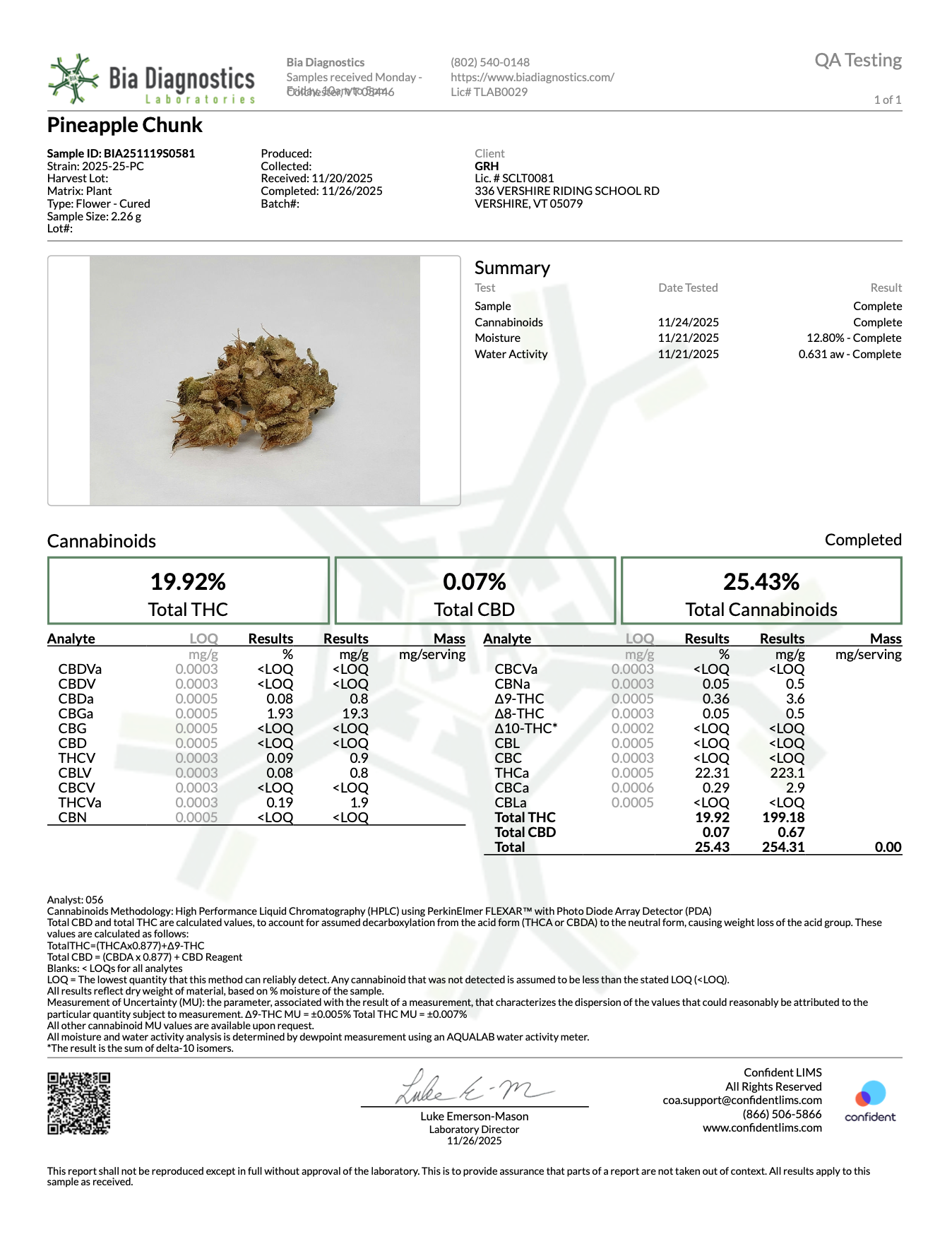 Pineapple Chunk