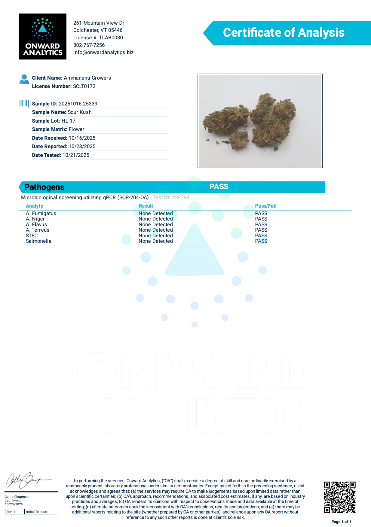 Sour Kush