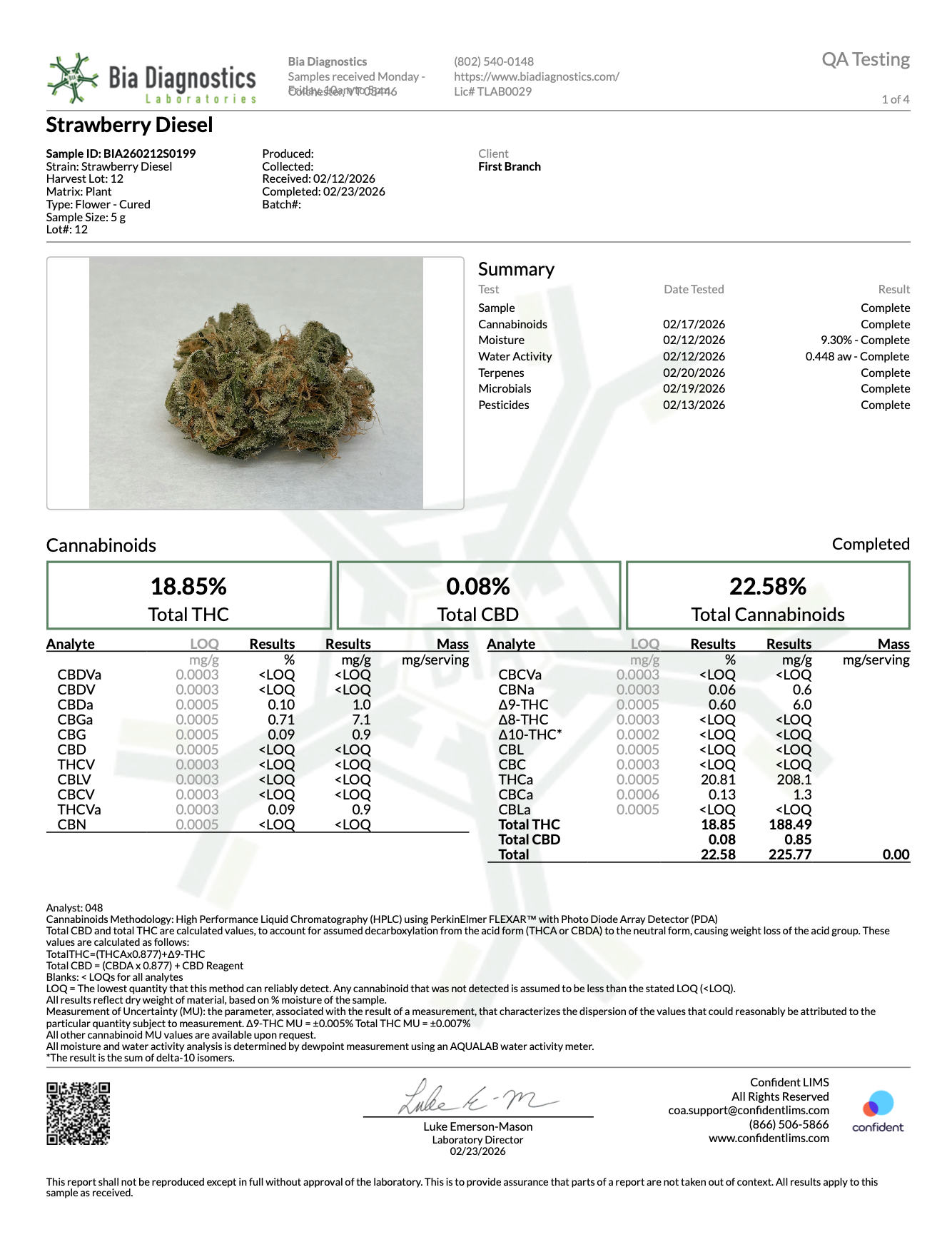 Strawberry Diesel
